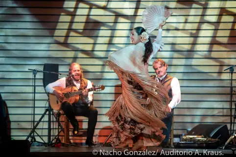 flamenco-rocio-pozo-paco-lucia-33