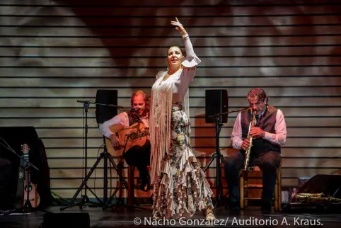 flamenco-rocio-pozo-paco-lucia-34
